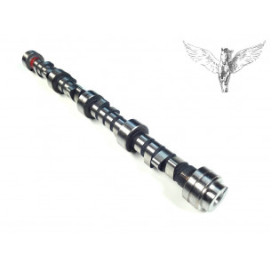 ERR5250.B-Britpart-Распределительный вал D2/RR V8 4.6, OEM-1