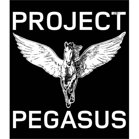 PN21-PJP-Наклейка Project Pegasus big""-1