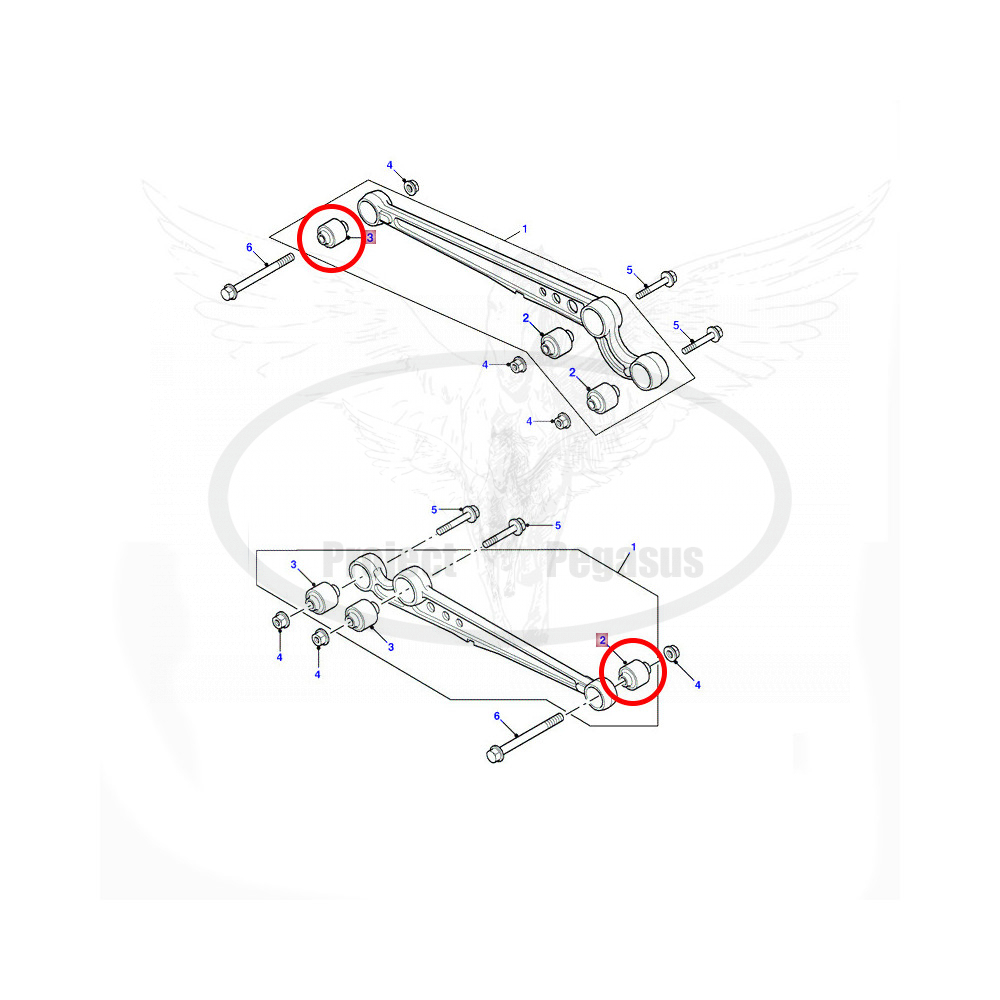 RBX101730.V-VTR-Сайлентблок продольного рычага D2-2