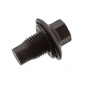 Пробка сливная поддона двигателя с прокладкой.