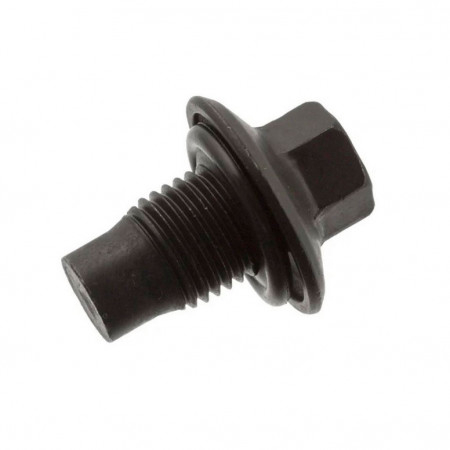 Пробка сливная поддона двигателя с прокладкой.