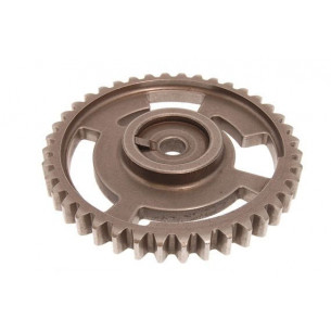 ERR7375-Land Rover-Шестерня распредвала D2/RRP38 99-02-1