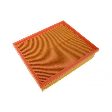 ESR4238.B-Britpart-Фильтр воздушный DEF/RRP38/D2/FR1 (LR027408)-1