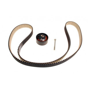 LR016655-Land Rover-Комплект ремня ГРМ с роликом для двигателя 2 7 TDV6-1