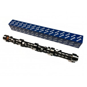 ERR5250.E-ESTAS-Распределительный вал D2/RR V8 4.6-1